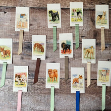 Load image into Gallery viewer, Dog (Observer&#39;s Picture Cards) repurposed bookmark.