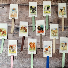 Load image into Gallery viewer, Dog (Observer's Picture Cards) repurposed bookmark.