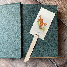 Load image into Gallery viewer, Animal (Observer's Picture Cards) repurposed bookmark.