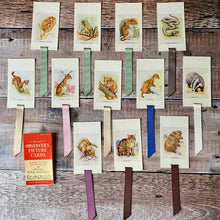 Load image into Gallery viewer, Animal (Observer's Picture Cards) repurposed bookmark.