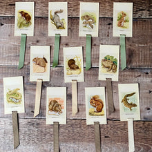 Load image into Gallery viewer, Animal (Observer's Picture Cards) repurposed bookmark.