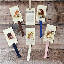 Load image into Gallery viewer, Animal (Observer's Picture Cards) repurposed bookmark.
