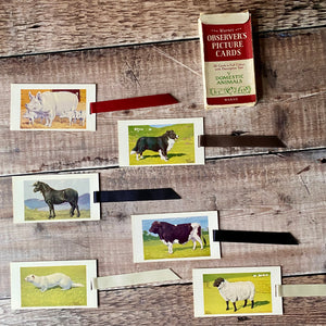 Animal (Observer's Picture Cards) repurposed bookmark.