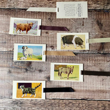 Load image into Gallery viewer, Animal (Observer's Picture Cards) repurposed bookmark.