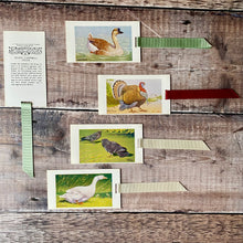 Load image into Gallery viewer, Bird (Observer's Picture Cards) repurposed bookmark.