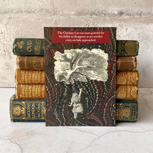 Load image into Gallery viewer, Crazy cat lady Alice In Wonderland meets the Cheshire Cat humour postcard.