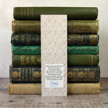Load image into Gallery viewer, Bookshelf layout humour bookmark featuring a Sherlock Holmes illustration.