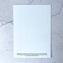 Load image into Gallery viewer, Jane Eyre book lender humour postcard.