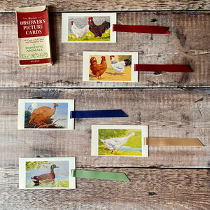 Bird (Observer's Picture Cards) repurposed bookmark.