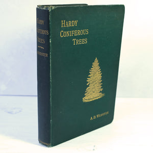 Hardy Coniferous Trees by A. D. Webster 1896