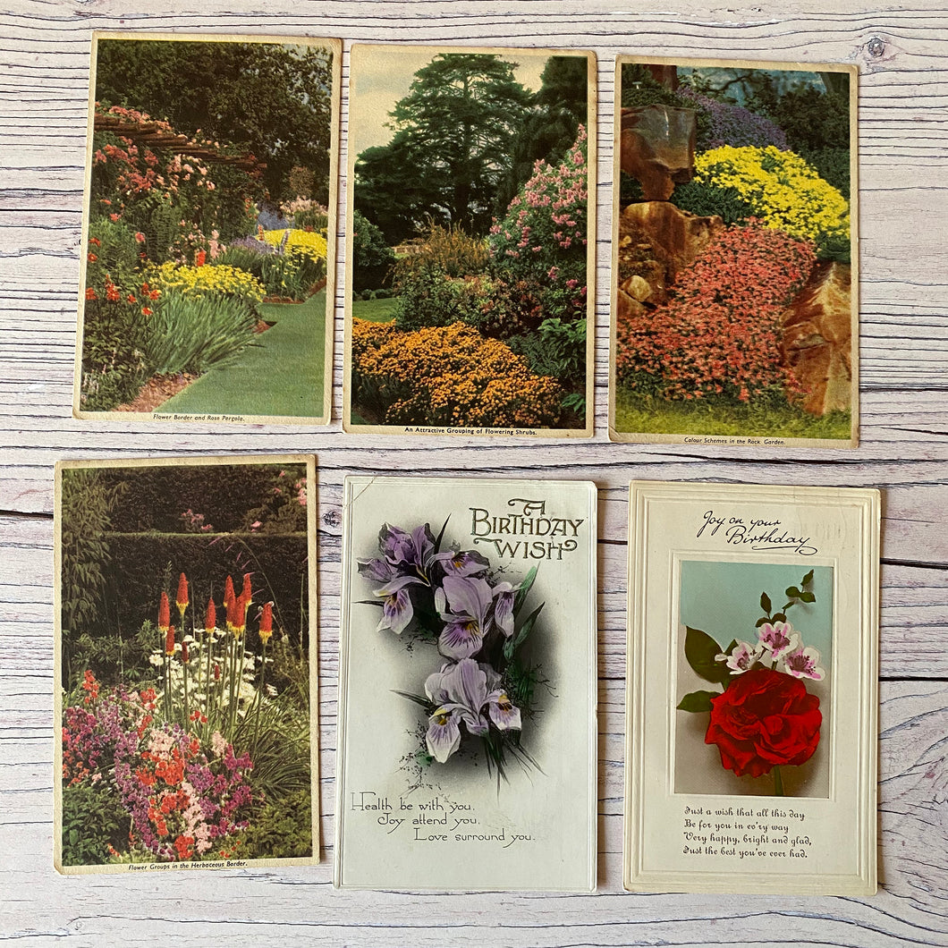 SALE Postcards (vintage used x 6) flowers, birthday, gardens (early 20th century)