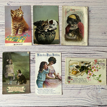 Load image into Gallery viewer, Postcards (vintage used x6) animals, cat, puppies, dog