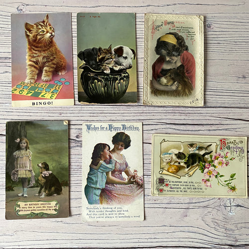 Postcards (vintage used x6) animals, cat, puppies, dog