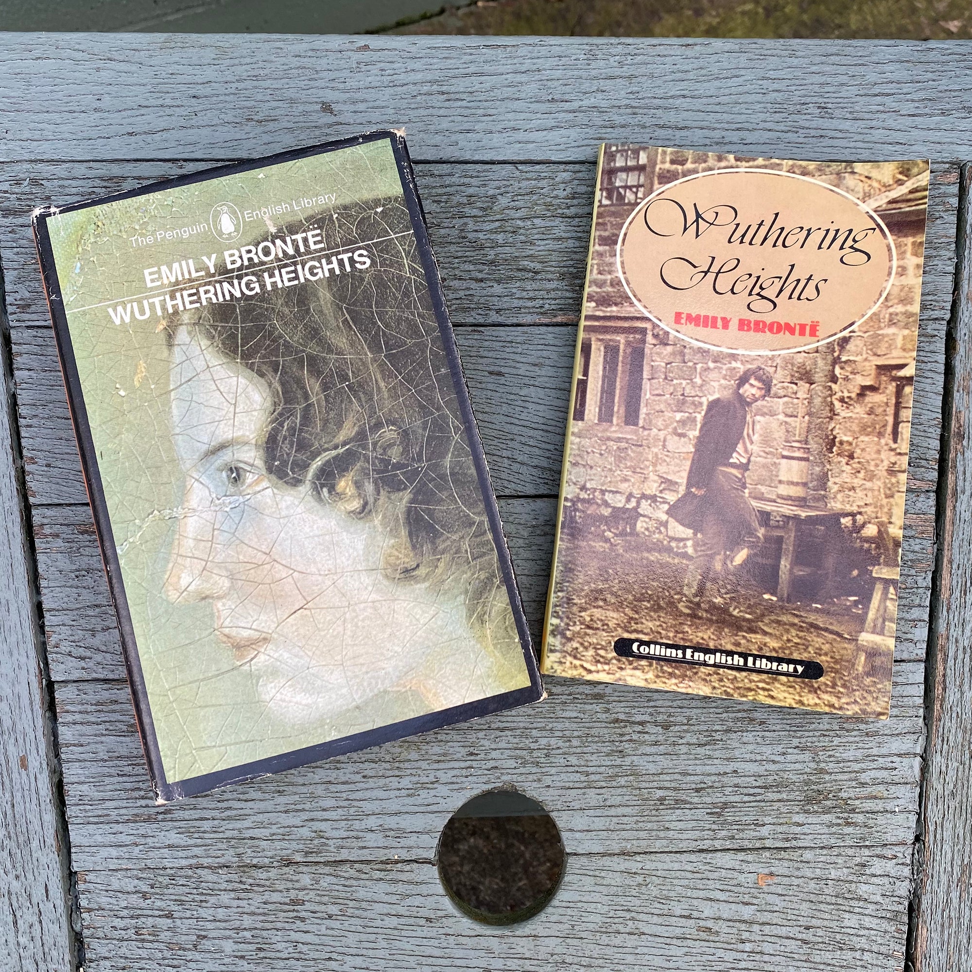 Wuthering Heights by Emily Brontë – Brimfield Public Library